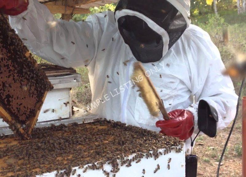Sweet Burkina Faso Honey